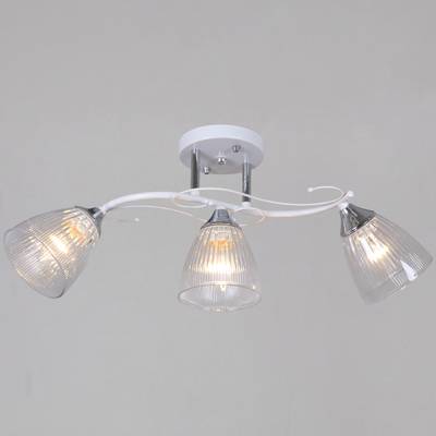 55560-0.3-03 WH+CR светильник потолочный