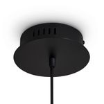 Подвесной светильник FR5557PL-L14B, 10Вт 2700К IP20. TM Maytoni