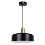 Подвесной светильник Arte Lamp SKAT A7052SP-1BK, 1хE27