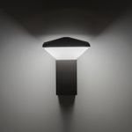 Citilux CLU02W LED Уличный настенный светильник Графит