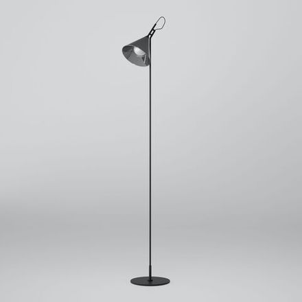 Напольный светильник со стеклянным плафоном 01187/1 черный