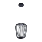 Подвесной светильник Arte Lamp FLARE A3528SP-12BK, 1хLED