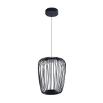 Подвесной светильник Arte Lamp FLARE A3528SP-12BK, 1хLED