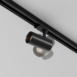 Трековый светильник Focus Led Trinity 2700-5000K 12Вт 36°, TR197-3-12WCCT-M-B. TM Maytoni