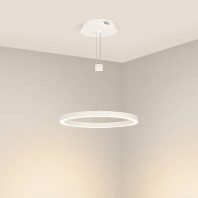 Светильник SP-CONGO-CAN-1-R400-24W Warm3000 (WH, 120 deg, 230V) (Arlight, IP20 Металл, 5 лет)