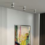 Светильник накладной светодиодный Kayo 12W 4000К белый/чёрный 25049/LED