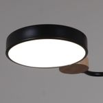 03326-0.3-05 BK+WOOD светильник потолочный