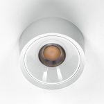 Citilux ROVER CL743090N LED Накладной светильник Белый