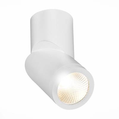 ST650.532.10 Светильник потолочный Белый LED 1*10W 3000K 800Lm Ra&gt;90 38° IP44 D60xH175 165-265V
