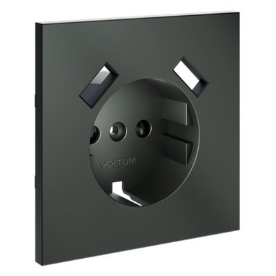 VLS000906 Накладка для розетки с заземлением и защитными шторками, с USB A+A, S70 (титан). (ТМ Maytoni)