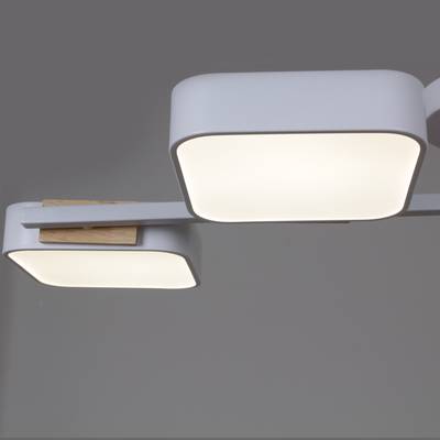 03361-0.3-04 WH+WOOD светильник потолочный