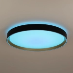 Citilux BOSS CL751451G LED RGB Светильник с пультом Чёрный с Золотом