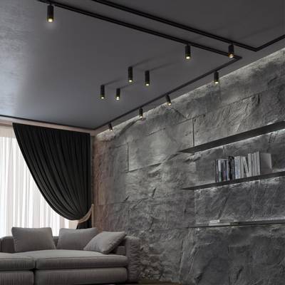 370863 PORT NT22 248 черный/золото Светильник трековый однофазный двухжильный IP20 GU10 9W 220V SLIM