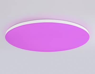 Потолочный светодиодный светильник с Wi-Fi Яндекс Алисой/Tuya/Smart Home/Alexa  FZ2003 WH белый IP54 30W 3000K-6500K+RGB D450*60 (ПДУ ИК