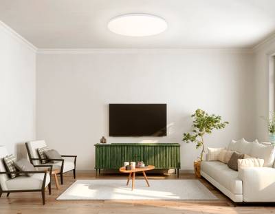 Потолочный светодиодный светильник с Wi-Fi Яндекс Алисой/Tuya/Smart Home/Alexa  FZ2003 WH белый IP54 30W 3000K-6500K+RGB D450*60 (ПДУ ИК