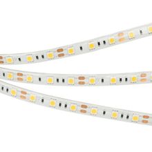 B60 12V 14.4 W/m IP65-IP68
