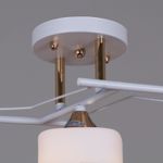 06096-0.3-03 WH+FG светильник потолочный
