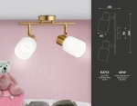 Настенно-потолочный спот TR3969/2 BS/FR латунь/белый матовый E27*2 max 40W 260*80*210