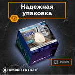 Накладной спот с выключателем TR3961 CH/FR хром/белый матовый E27 max 40W 118*105*200