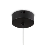 Подвесной светильник Ida FR6133PL-L4SM, LED. TM Maytoni