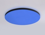 Потолочный светодиодный светильник с Wi-Fi Яндекс Алисой/Tuya/Smart Home/Alexa FZ2004 BK черный IP54 20W 3000K-6500K+RGB D300*55 (ПДУ ИК)