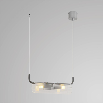 8258/2 SUSPENTIONI LN26 серебро/прозрачный, металл/стекло Подвес G9 2*20W 220V TORONTO