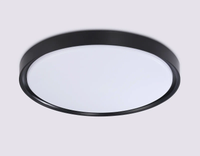 Потолочный светодиодный светильник FZ1248 BK черный IP54 30W 5000K D380*60 (Без ПДУ)