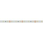 Светодиодная лента RT-A60-8mm 12V Warm2400 (7.2 W/m, IP20, 2835, 5m) (Arlight, 7.2 Вт/м, IP20)