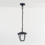 Citilux CLU04P LED Уличный подвесной светильник Чёрный
