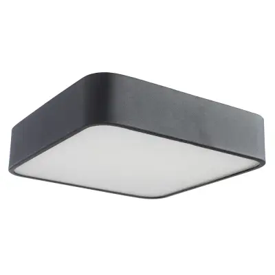 Потолочный светильник Arte Lamp COSMOPOLITAN A7210PL-2BK, 2хE27