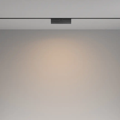 Трековый светильник Базис / Basis Exility 2700-6000K 12Вт 120° Dim Dali1, TR036-4-12WTW-DD-B. TM Maytoni