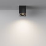 Потолочный светильник Zoom GU10х1, IP65, C030CL-01B. TM Maytoni