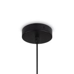 Подвесной светильник Jovian FR5390PL-01B, G9х1. TM Maytoni