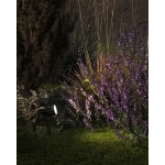 Грунтовый светильник Arte Lamp ELSIE A1127IN-1BK, 1хLED