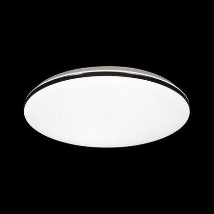 3042/DL TAN SN 167 Светильник пластик/черный LED 48Вт 3000-6500К D385 IP43 пульт ДУ/ LampSmart VAKA