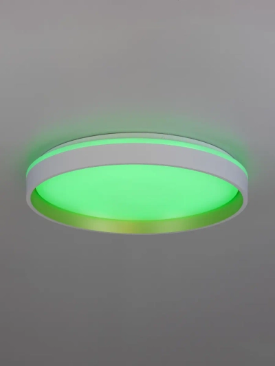 Citilux ENZO CL753450G LED RGB Светильник с пультом Белый + Золото