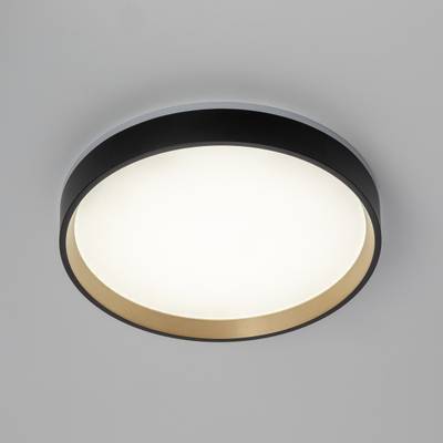 Citilux ETALON CL750241 LED Светильник с подсветкой Чёрный+Золото