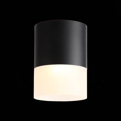 ST100.402.15 Светильник потолочный Черный LED 1*15W 3000K 1 170Lm Ra&gt;80 120° D118xH150 170-240VV