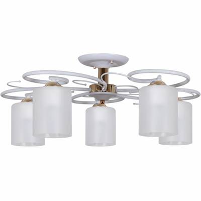 00738-0.3-05 светильник потолочный