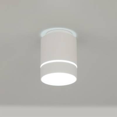 Citilux Борн CL745010N LED Светильник накладной Белый