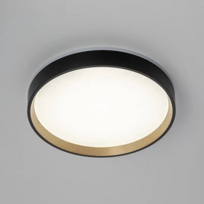 Citilux ETALON CL750241 LED Светильник с подсветкой Чёрный+Золото