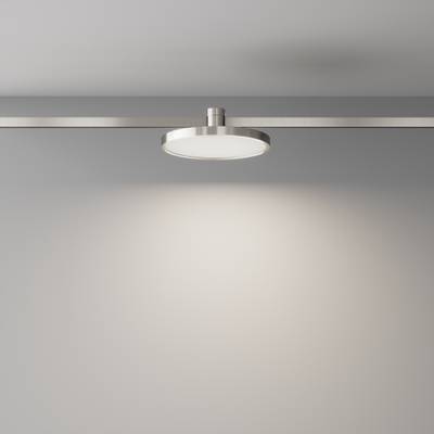 Трековый светильник Plato Flarity 4000K 10Вт 120° TR153-1-10W4K-PT. TM Maytoni