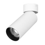 Светильник SP-GABI-SURFACE-FLAP-R60-12W Warm3000 (WH, 60 deg, 230V) (Arlight, IP40 Металл, 5 лет)