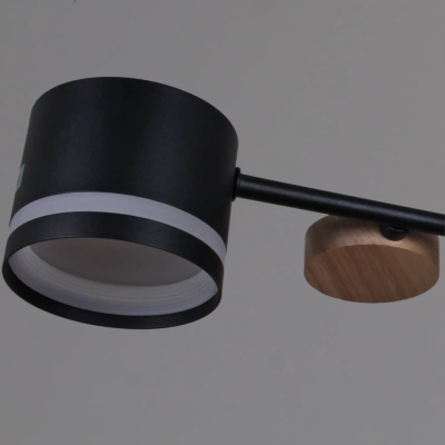 68730-0.3-10 GX53 BK+WOOD светильник потолочный Reluce, GX53х10