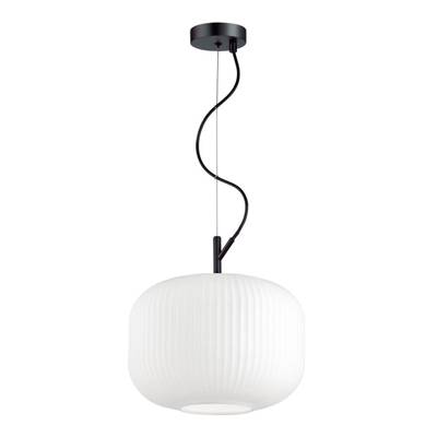 4754/1 PENDANT ODL21 489 белый/черный Подвес E27 60W ROOFI
