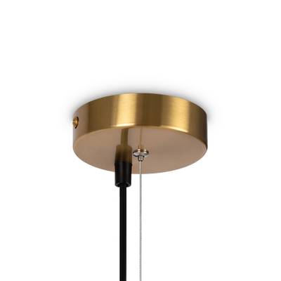 Подвесной светильник Blossom FR5259PL-06BS, G9х6. TM Maytoni
