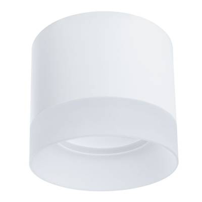 Точечный накладной светильник Arte Lamp CASTOR A5554PL-1WH, 1хGX53