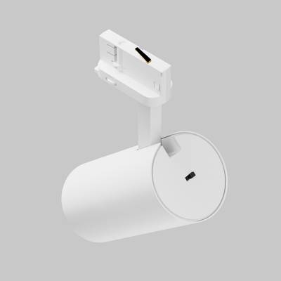 Трековый светильник Focus Led Trinity 2700-5000K 40Вт 36° TR197-3-40WCCT-M-W. TM Maytoni