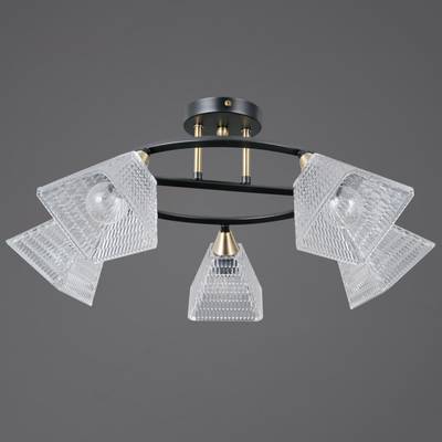 IL0850-5CSQ-25BKAB ELITE светильник потолочный