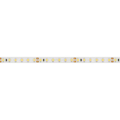 Светодиодная лента RT 2-5000 24V Cool 8K 2x (3528, 600 LED, LUX) (Arlight, 9.6 Вт/м, IP20)